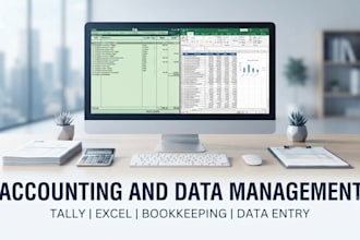 tally accounting and excel data entry