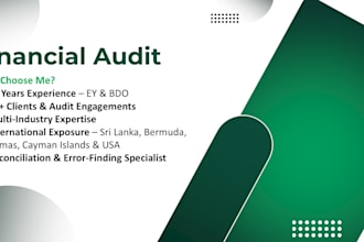 do financial statement audit