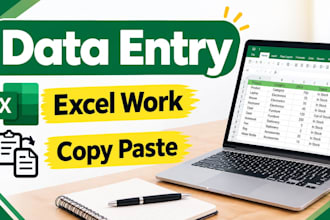 do professional data entry and excel copy paste work