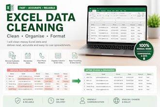 clean, organise and format messy excel data and spreadsheets