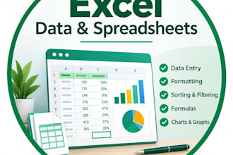 do excel data entry , formatting  and spreadsheet cleanup