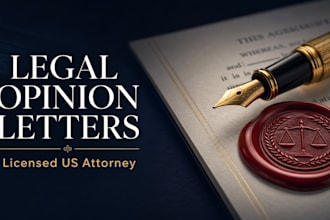 draft expert legal opinion letters and case assessments as a US attorney