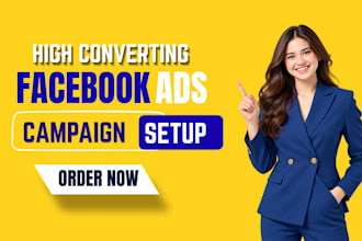 create and manage professional facebook ad campaigns