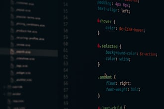 develop a fast, secure custom website or web app