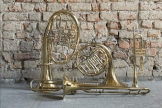 record trumpet, trombone, flugelhorn, french horn, cornet, tuba,sousaphone