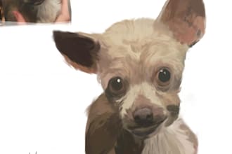 draw a pet portrait that helps animals