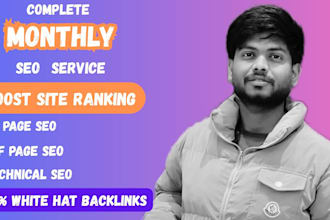 provide monthly seo service, best on and off page package