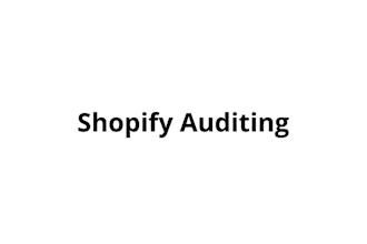 do website  audit  for shopify store