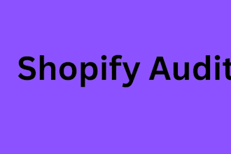 do shopify audit for you store