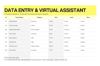 do accurate data entry and spreadsheet formatting