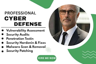 perform a professional cybersecurity
