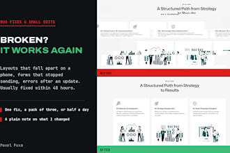 fix bugs and make small edits on your coded site, wordpress or framer