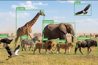 do accurate ai data labeling and annotation