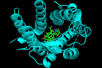 offer scientific translation and writing
