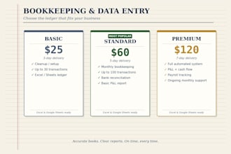 do professional bookkeeping and accounting services