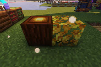 create a custom minecraft blockbench 3d model animation textures for you