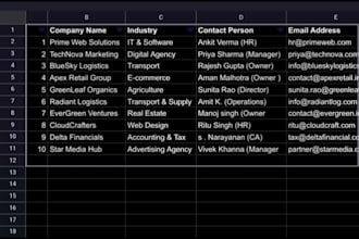 be your professional microsoft excel and accounting expert