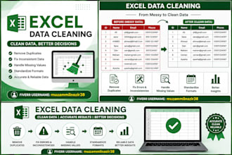 do excel,data,entry,cleaning,formatting and copy paste tasks accurately