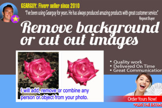 remove solid backgrounds or cut out item from photo image