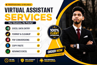 be your virtual assistant for data entry, data mining, copy paste, web rese
