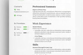 write a professional CV resume and cover letter