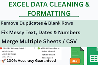 be your expert for excel data cleaning and formatting