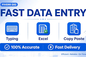 do fast data entry, excel work and copy paste in 2 hours