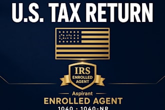 prepare accurate US tax returns 1040,1040nr for non residents