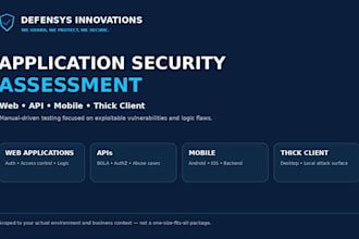perform manual security assessment of application and API