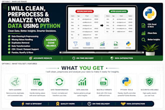 clean and preprocess your dataset using python