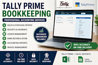 tally bookkeeping, accounting and excel data entry