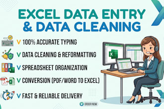 do excel data entry, data cleaning and financial formatting