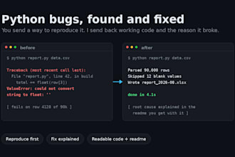 fix bugs and errors in your python script or app