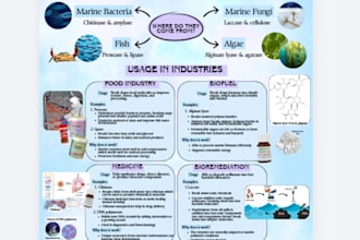 design an educational or informational infographic poster