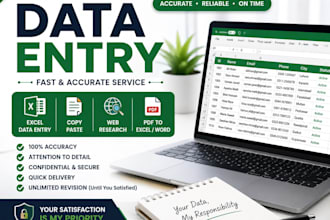 do data entry excel data entry copy paste an web research
