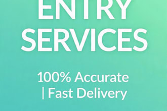 do product data entry for shopify amazon and excel