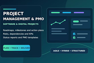 manage software projects as a pm or pmo