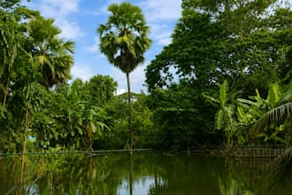 provide authentic bangladesh village and rural scenic photo