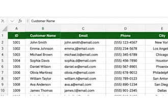 do accurate excel data entry and data cleaning
