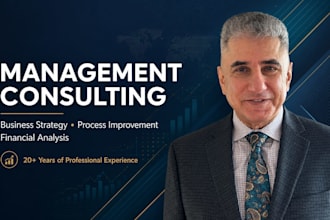 management consulting, business strategy, transformation, financial analysis