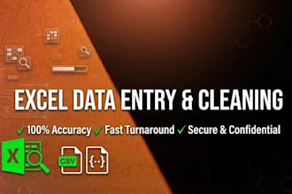 do professional excel data entry data cleaning and formatting