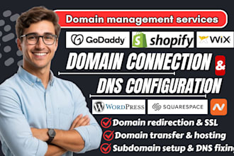 connect domain to godaddy, or transfer fix domain email