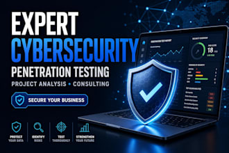 do expert cyber security project analysis, penetration testing and consulting
