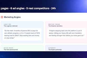 create a buyer persona report with ready to run ad angles