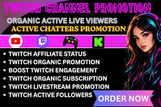 professionally set up and optimize your twitch channel