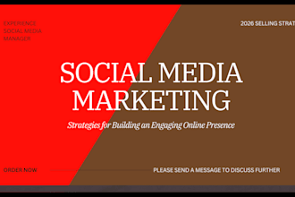 be your social media marketing manager and content creator tiktok ads manager