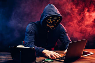 do professional cybersecurity,pen testing, vulnerability projects hacker