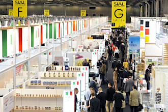 make plans, conduct market analysis, insights, handle export documentation