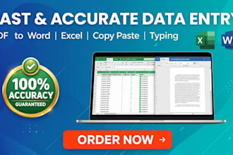 do data entry, typing, pdf to word, excel and copy paste work fast