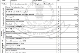 assist in filing income tax return